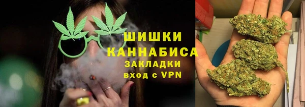 соль ск Белокуриха
