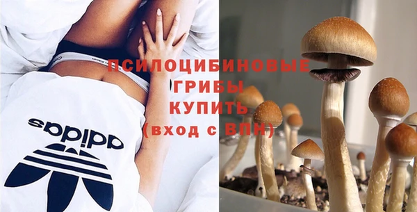 мескалин Беломорск