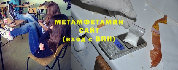 сатива Балахна
